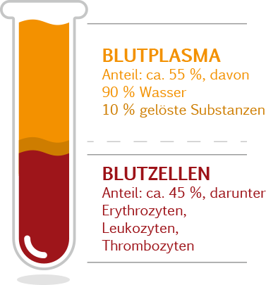 Grafik: Das Blut und seine Bestandteile